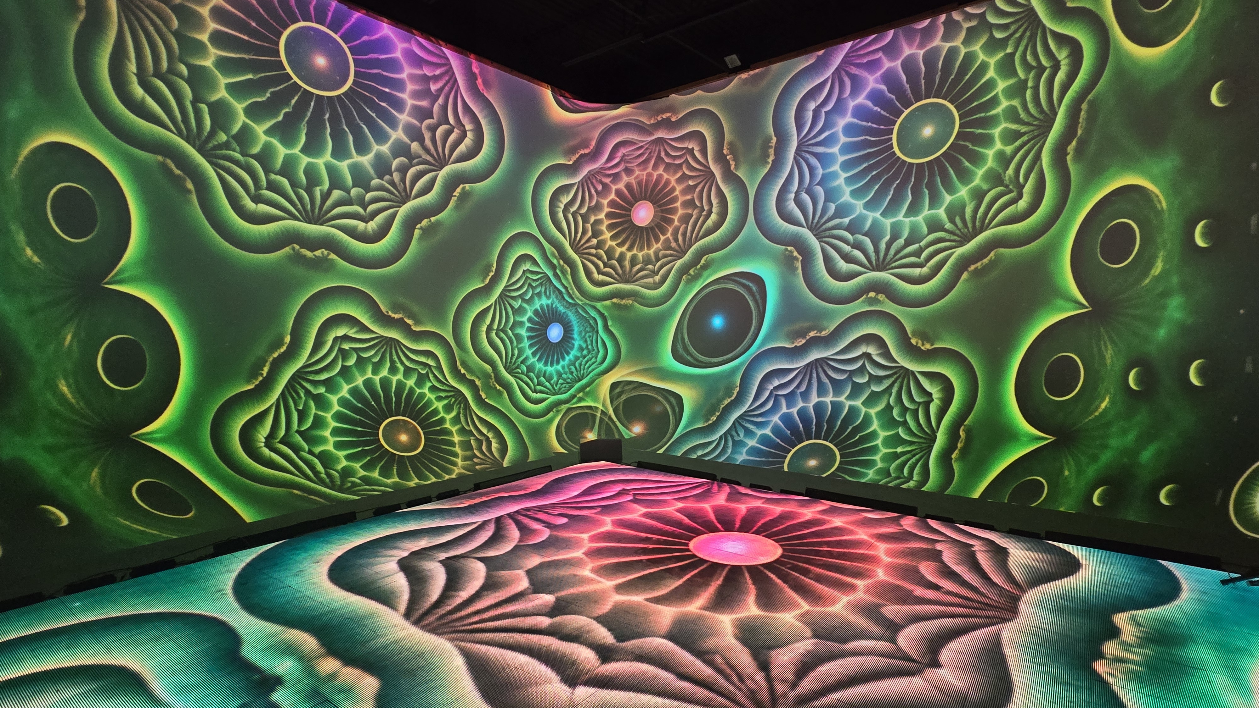 Green and pink organic fractal mandala projections on walls and floor