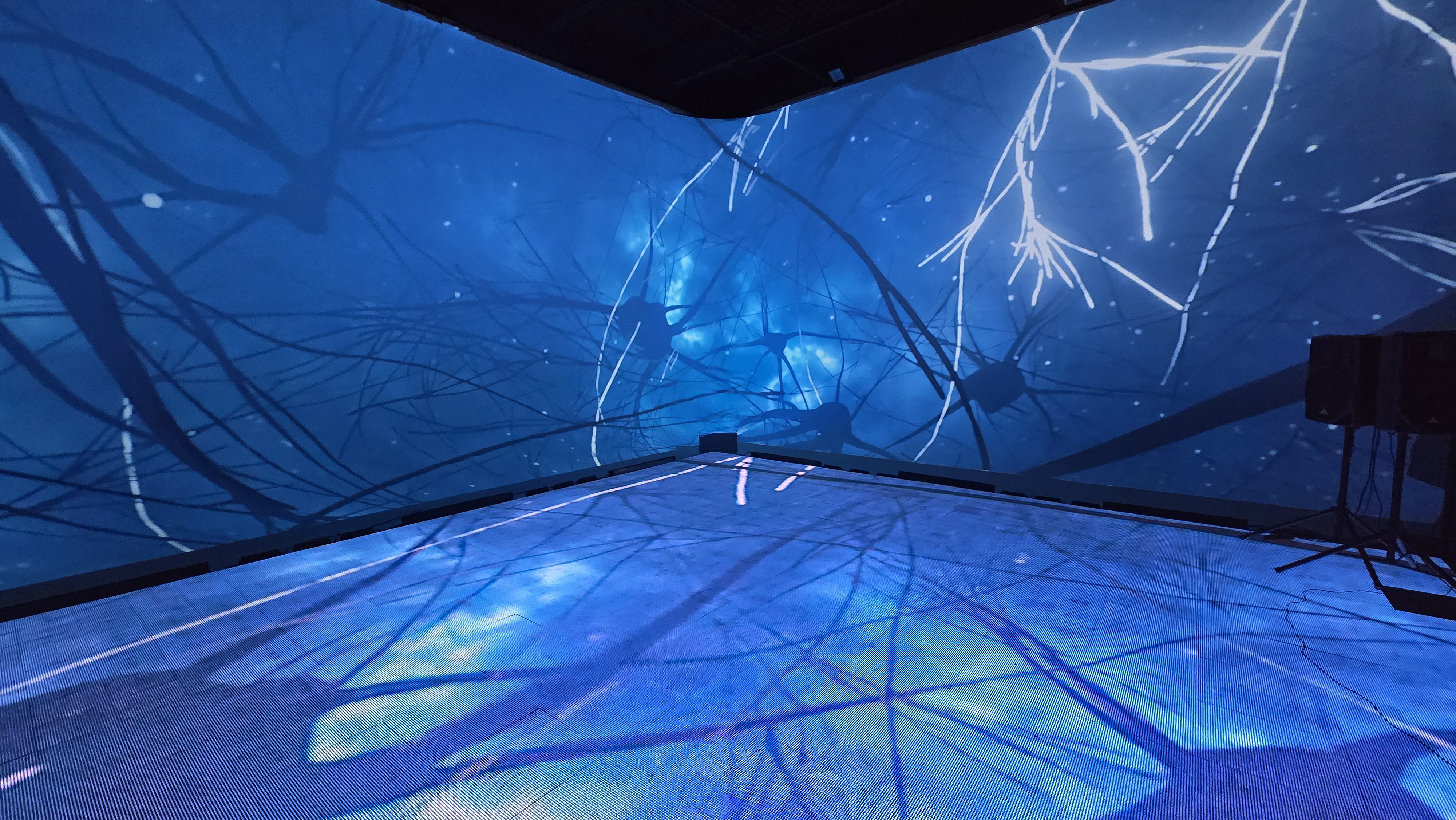 Blue neural network branch projections across walls and floor